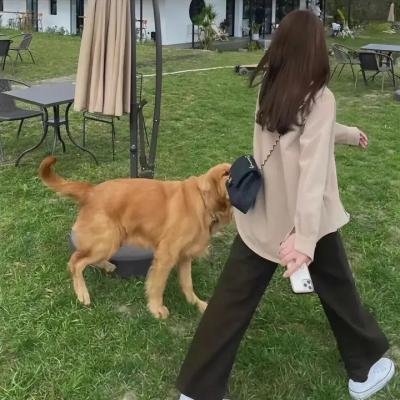 五百万美元的大丈夫