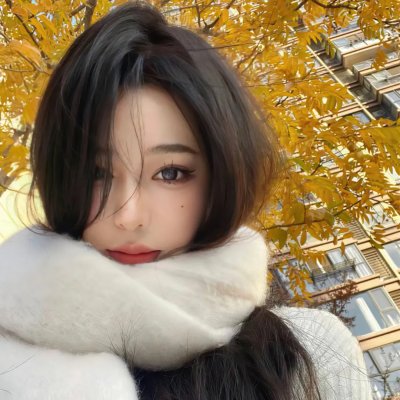 海豚的故事2